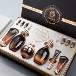 AIN.SDD Ginseng Seed Polypeptide Luxury 12-Piece Complete Anti-Aging Skincare Gift Set, Hydrating Firming Brightening Facial Skin Care Kit For All Skin Types